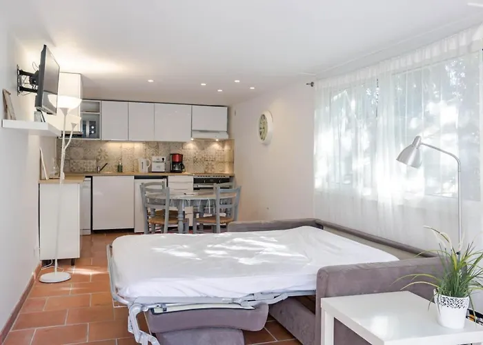 L'olivier - T2 Proche Saint-raphael *